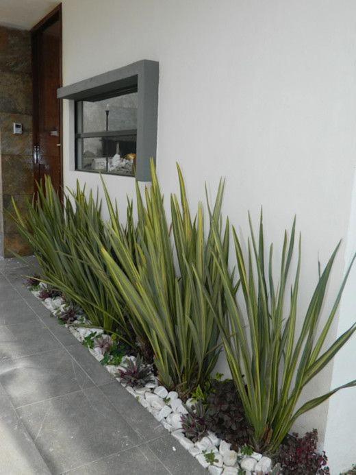 Appartamento Apartamento Erita Alicante Esterno foto